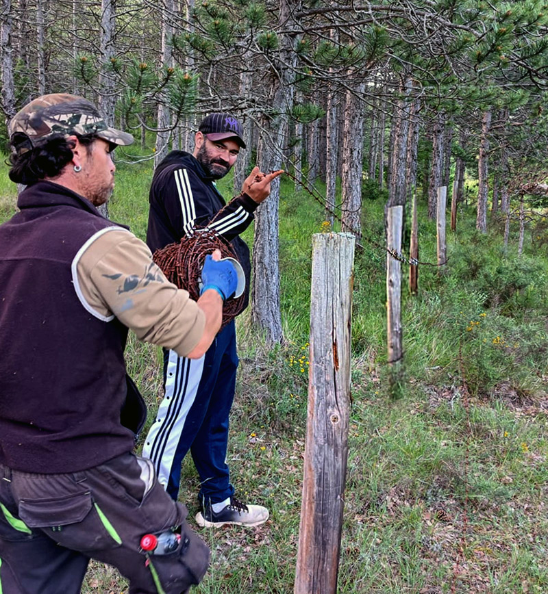 Regenerando paisaje mosaico