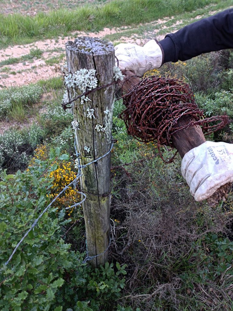 Regenerando paisaje mosaico