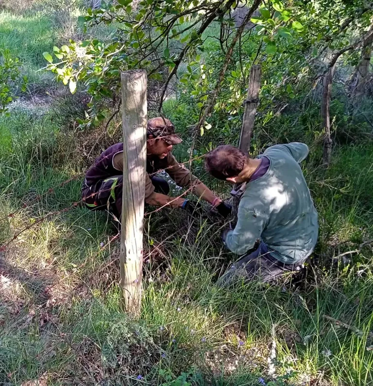 Quitamos alambrada vieja