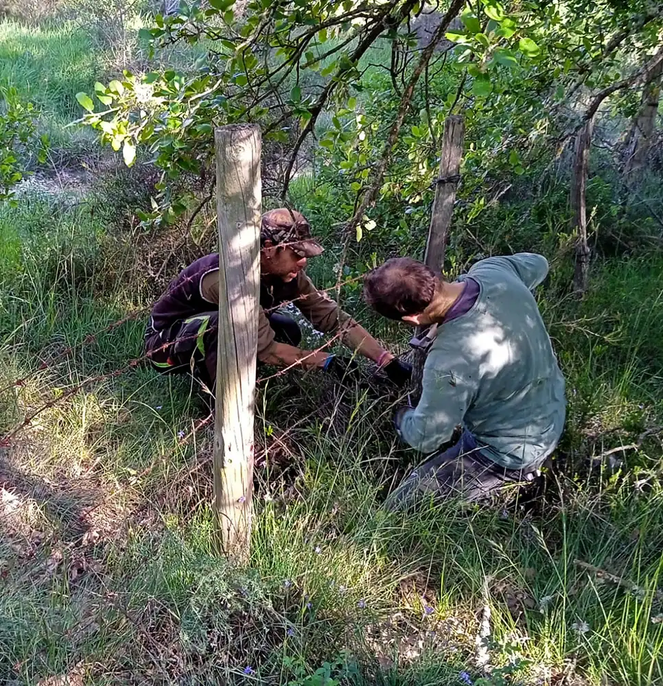Quitamos alambrada vieja