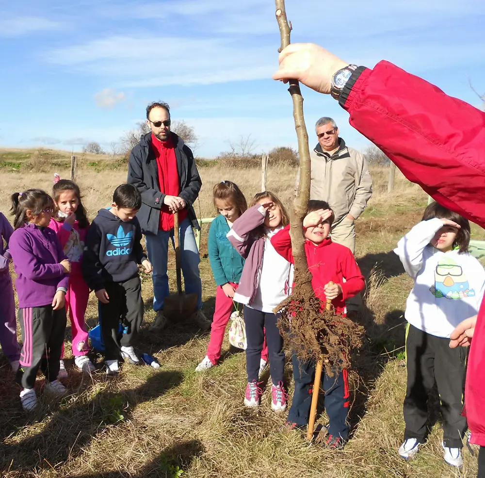 Niños reforestando