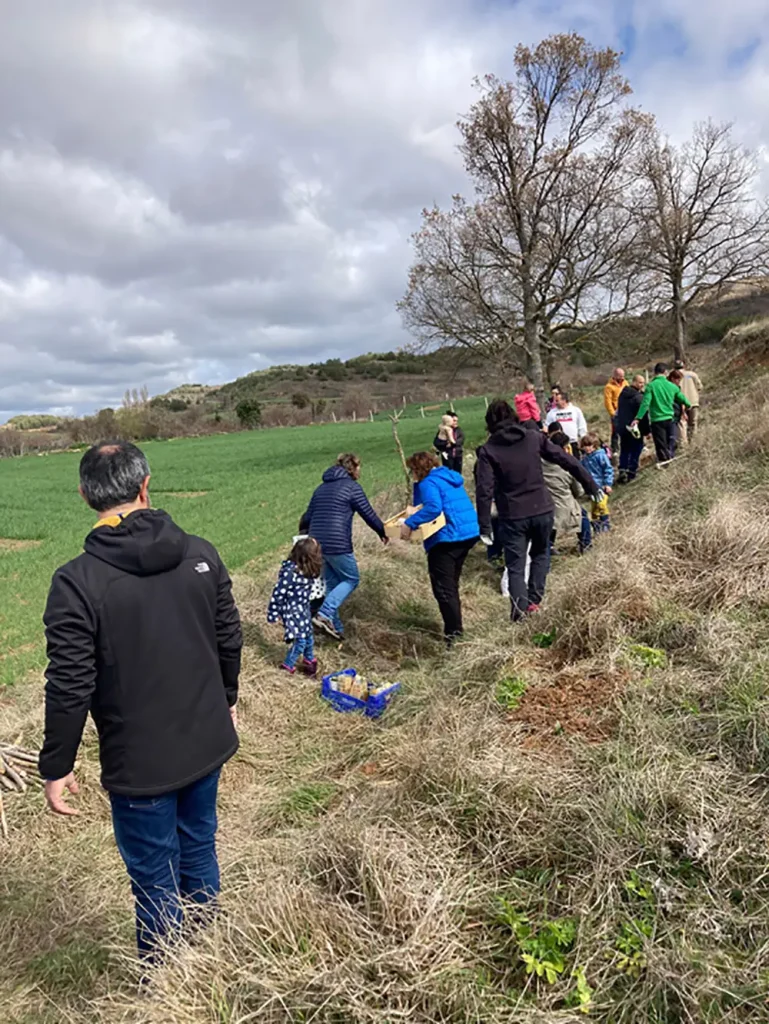 Voluntarios para reforestar