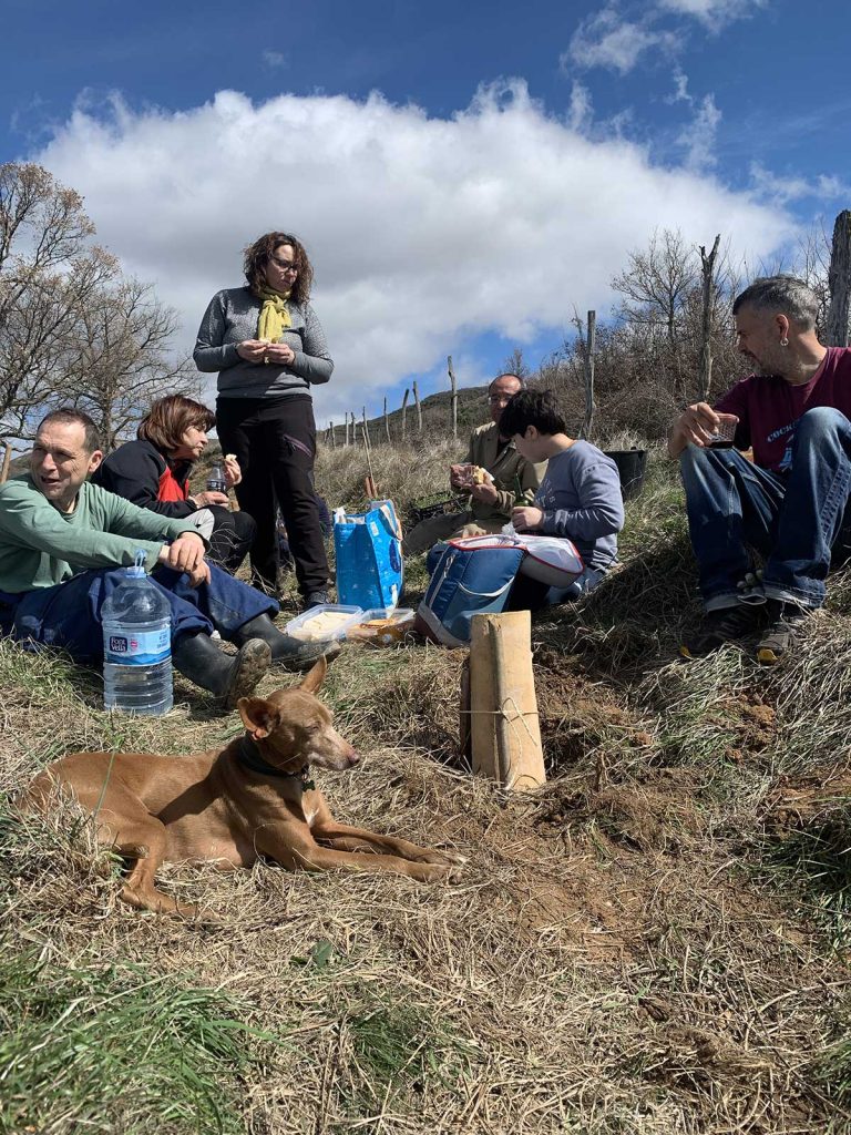 Voluntarios para reforestar