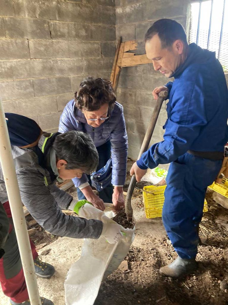 Voluntarios para la reforestación