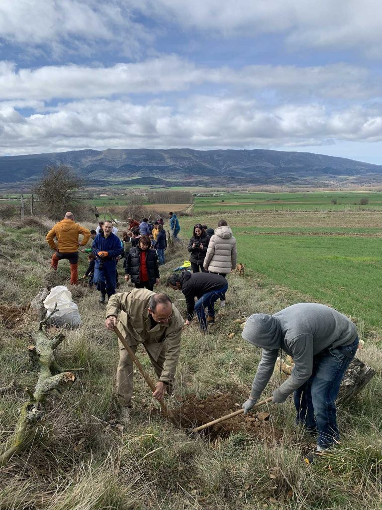 Voluntarios plantando arboles