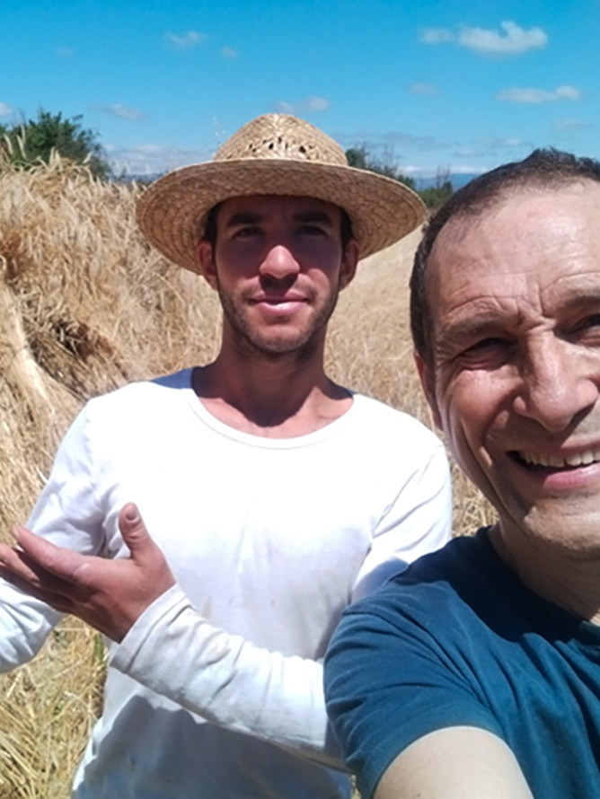 Cosecha de centeno en San Martín 2022