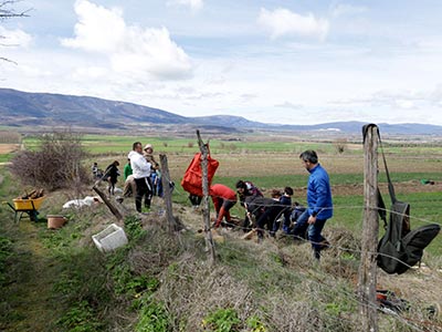 Plantación popular, día de los bosques
